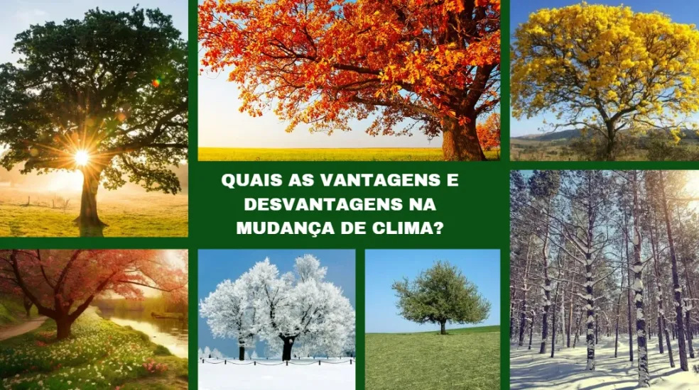 QUAIS AS VANTAGENS E DESVANTAGENS NA MUDAN&Ccedil;A DE CLIMA?