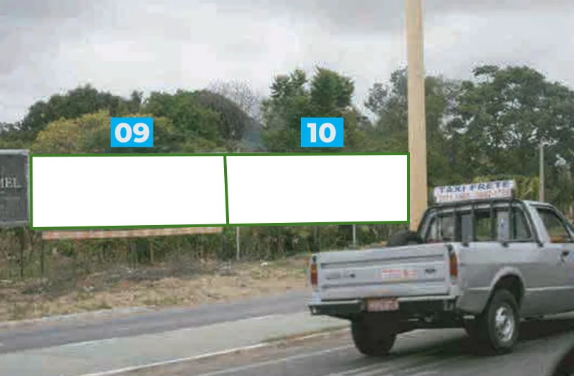 009gbm