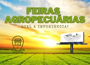 Ponto nº Qual a importância das feiras de agropecuárias no estado do Ceará?